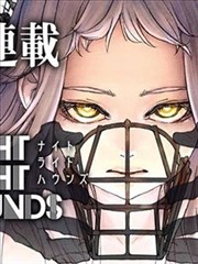 漫画改编作品暗夜君王动画版